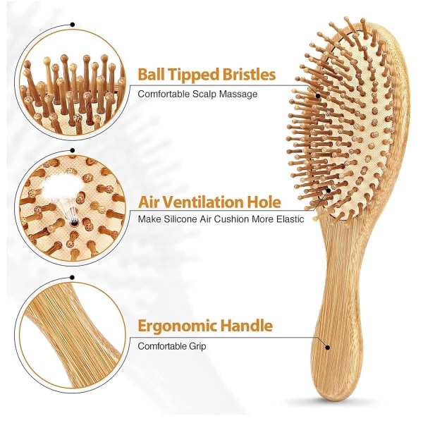 Antistatisk hårborste för hårborste för skönhetssalonger för kvinnor, lätt resedusch, våt och torr.
