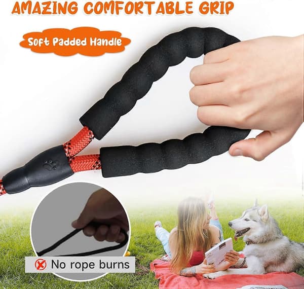 2M Dog Training Leash - Strong Nylon Leash Dog Strap with Hook Buckle and Comfortable Handle - Long Recall Leash