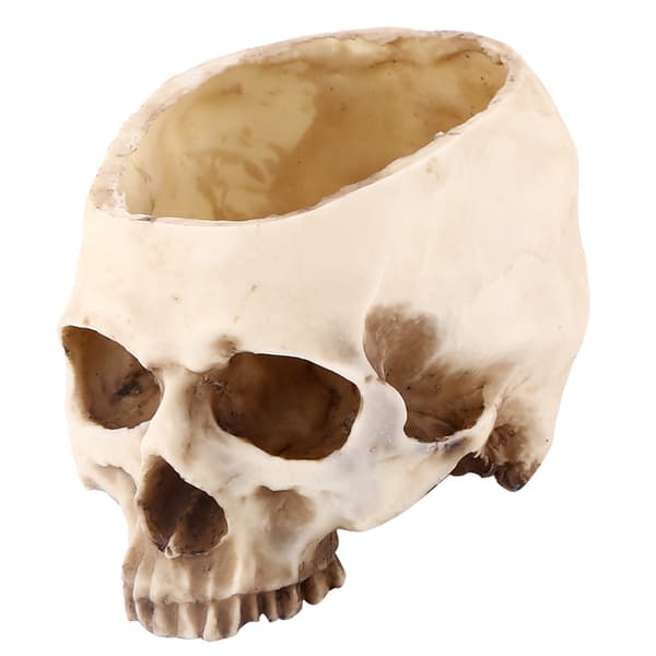 Skull Head Resin Flower Pot, Unique Decorative Planter Container