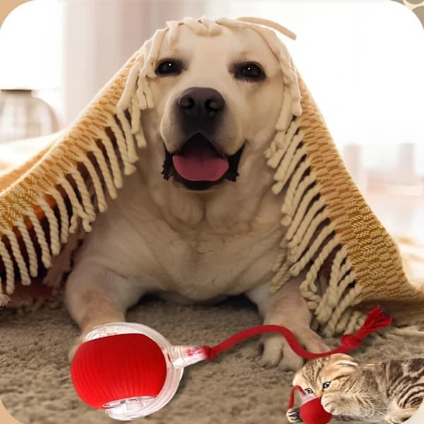 360° Smart Rolling Pet Ball for Cats & Dogs, Rechargeable, Red, 2-pack