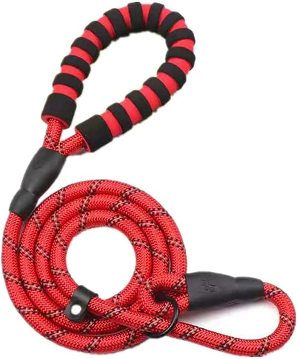 Nylon Dog Leash, Basic Leash for Training and Walking, Red, Approx. 4.5 ft