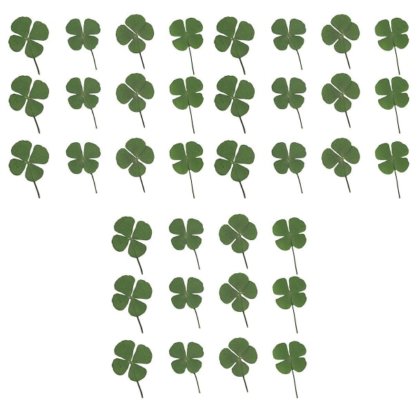 36 kpl Ihastuttavia Neliapilaa Kuivattuja Apilaa Korujen Tarvikkeita DIY-Koristeluun Kaulakoruihin Korvakoruihin Rannekkeisiin (vihreä) 36 kpl 36 pcs