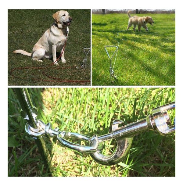 10M Dog Tie Out-kabel for hunder, flott for camping eller hagen, egnet for sele, bånd og kjede