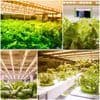 40W LED Växtlampa Full Spectrum Solljus USB Inomhusväxter-FA7-