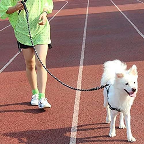 Dog Leash, Strong Handle Dog Leash with Handle and Highly Reflective Thread for Small, Medium, and Large Dogs