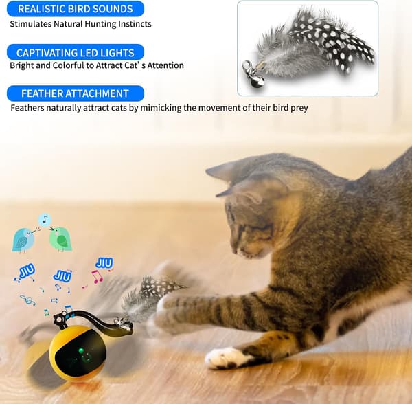 Interactive Remote Control Cat Toy Ball, Automatic Moving Rolling Feather Toy USB Rechargeable Motion Activated Play for Indoor Cats