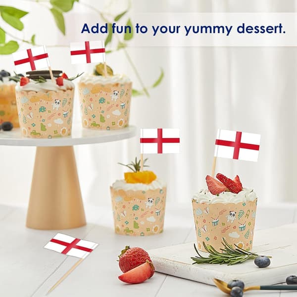 100 Pcs Toothpick Flags Cake Toppers, 48 Countries Cocktail Picks Flags for Sandwich Cupcake Decorations Bar Party