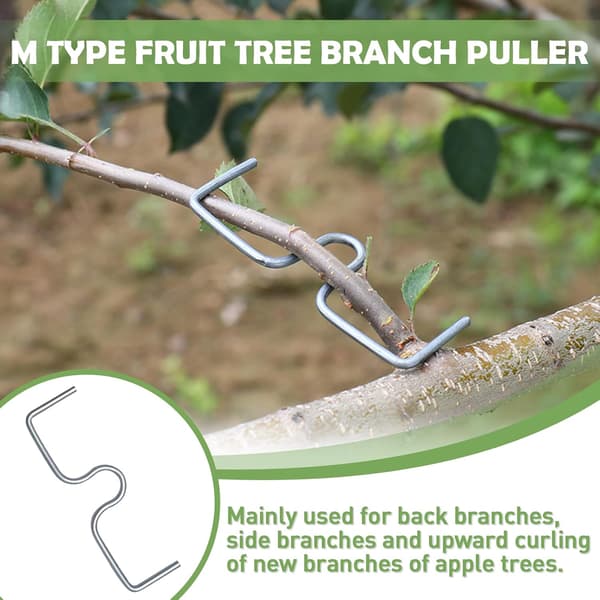 30 Pieces Fruit Tree Branch Spreaders, Fruit Branch Holders, Metal Branch Clips for Garden Branches, for Spreading and Stretching Fruit Tree Branches