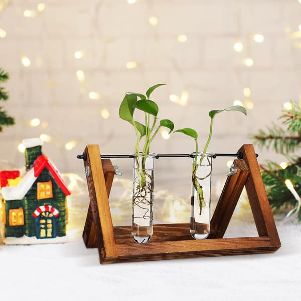 5 st växtförökningsstationrör Glas Blomvattenrör Modern stil Elegant