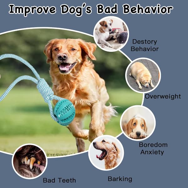 Interactive Puppy Toy with Rubber Ball for Small/Medium Dogs - Durable Chew Rope for Teeth Cleaning, Fetch, and Training (Blue) blue