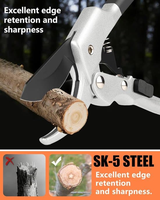 Pruning Shears - Hedge Shears - Branch Shears - Flower Shears - Robust Pruning Shears - Less Force Required Thanks to Gear - 20.1 x 6.5 cm