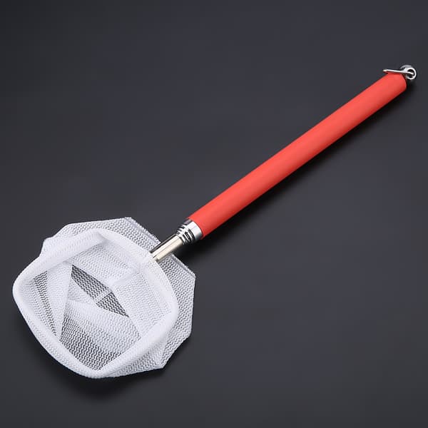 Telescopic Aquarium Fish Net, Red Square