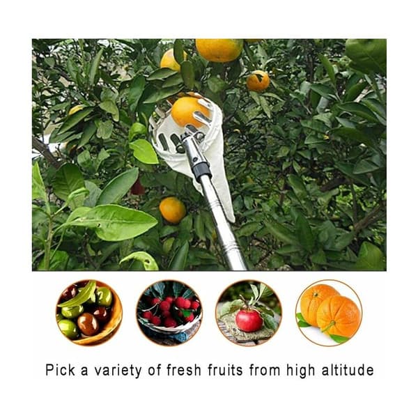 Telescopic Fruit Picker without Handle, Cherry and Apple Picker with Cotton Bag Col