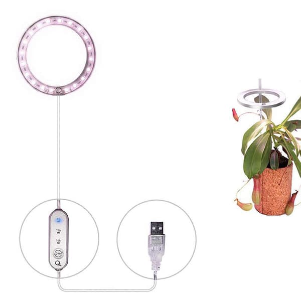 LED-lampe for innendørs bordplanter Full th-lampe med støttepinne