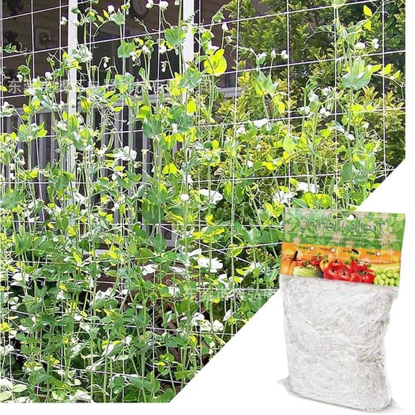 (1,67 m x 5 m) Net til klatreplanter, stor netstøtte