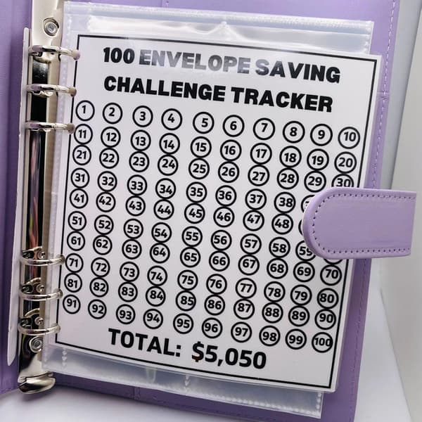 100 Envelope Challenge Binder Easy and Way to Save, Savings Challenge Binder, Budget Binder with Cash Envelopes (Pink)