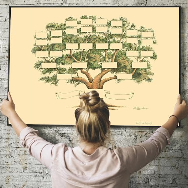 Family Tree Chart for Genealogy and Ancestry -FS-
