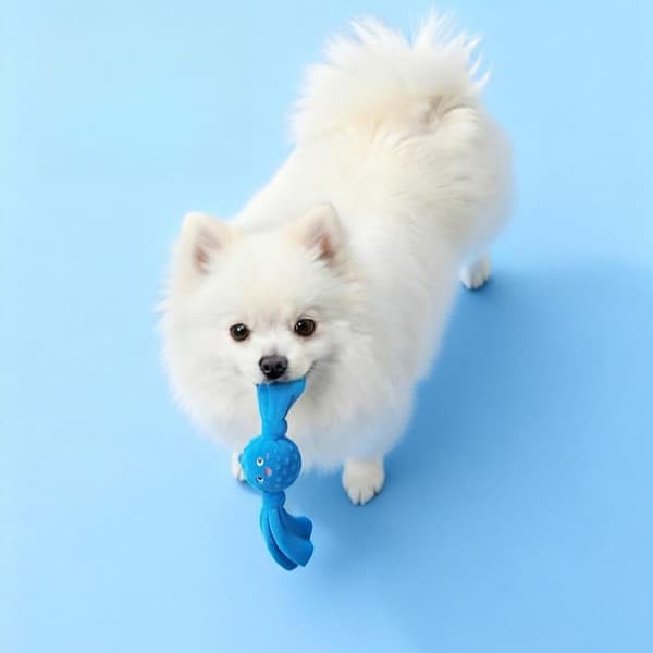 Squeaky Dog Ball Toy - Plush, Spiked TPR Core, Interactive Bite and Chew Toy (Blue)
