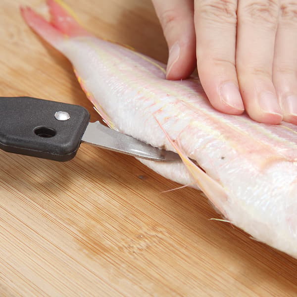 Grön 2-pack fiskfjällsskrapa i rostfritt stål