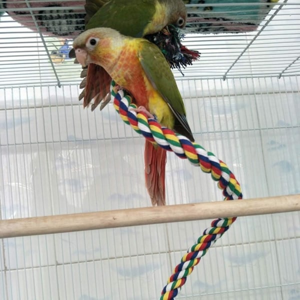 1,5M papegøye fargerikt klatretau svingeleker Papegøyestativ med klokke og hengende klips for papegøyer, undulater, araer, parakitter,