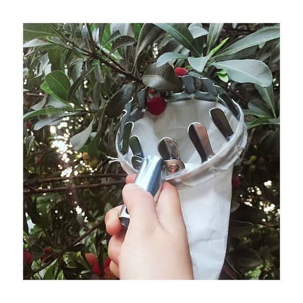 Telescopic Fruit Picker without Handle, Cherry and Apple Picker with Cotton Bag Col