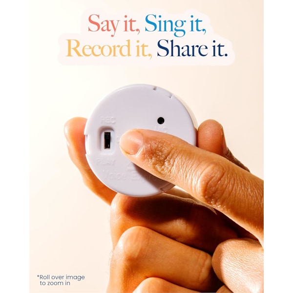 30 Second Voice Recorder (2 Pack) - Record a Personalized Message for a Stuffed Animal, Teddy Bear, Doll