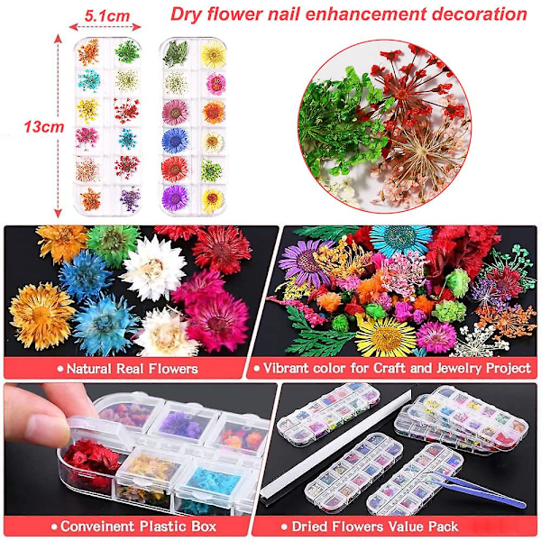 2 lådor Nageltorkade blommor, nagelkonst Dekor Manikyrdekor Blandad torkad blomma style1
