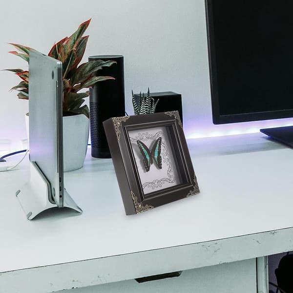 Butterfly Display Frame Vintage Butterfly Frame Rectangular Wood Acrylic Framed Specimen