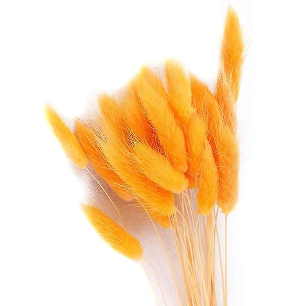 Tørret blomsterbuket kunstig Lagurus Ovatus dekoration til (Orange)