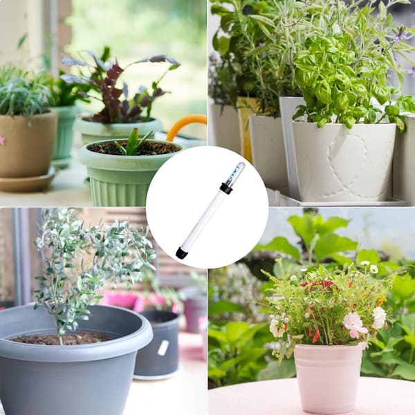 st - Vandstandsmåler til blomsterpotter - Vandstandsindikator - Plantevandstandsindikator
