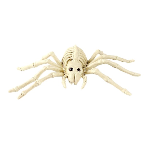 Frosk Lekebein Kald Insektskjelett Dyreskjelett Bein Leke Halloween Edderkopp Skjelett Dekorasjon Hvit White