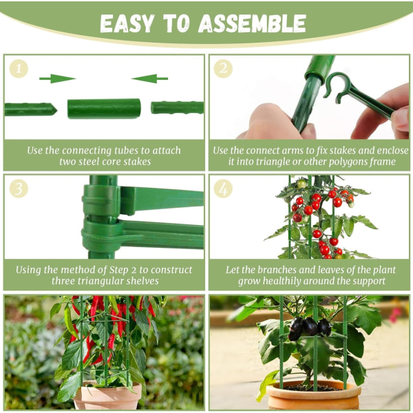 4ft 4-pak Tomatbur