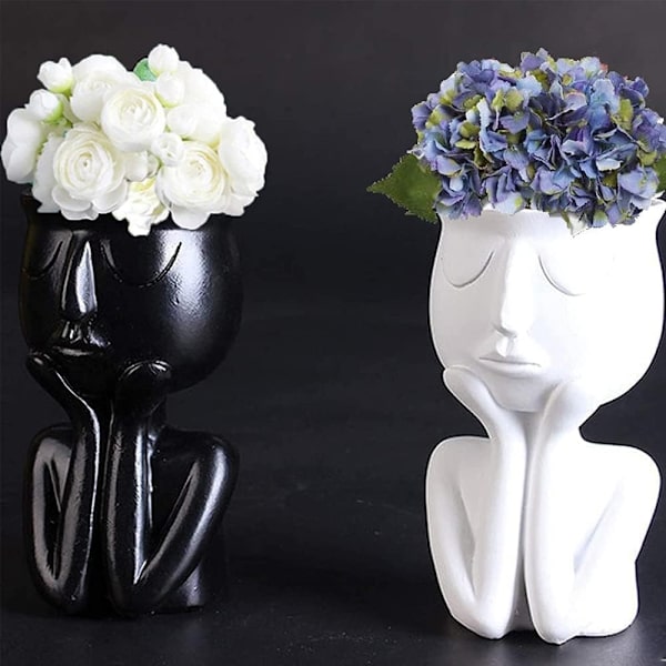 Harpiks Blomsterpotter til Sukkulenter, Abstrakt Ansigt Design, 2 Pak