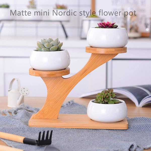 Keramiska Sukkulentkrukor Trädgård Blomkrukor Med Bambustativ 3 St Keramik Sukkulentkrukor Kaktus Växtkrukor Mini Blomkrukor Träram Keramik Ga