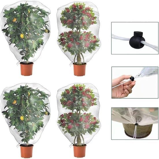 Plant Protection – Dome-shaped – 5-pack – 60x60x120 cm – HDPE Net – With Drawstring – Protects against insects and birds – Dome-shaped – With Drawstring – Reusable