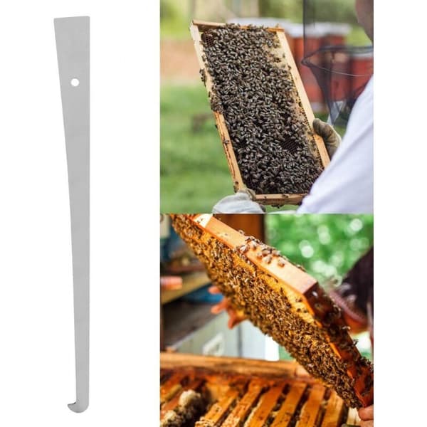 Beehive Scraper in Stainless Steel, Tool for Scraping Honeycomb Frames, Beekeeping Equipment, Beekeeper Supplies