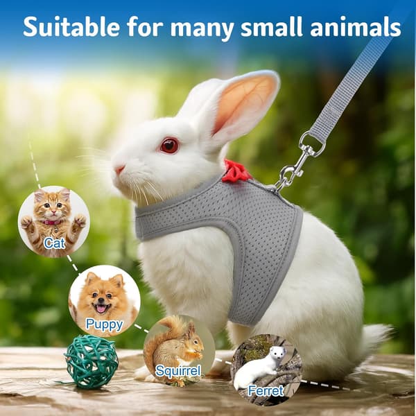 Rabbit Harness and Leash Set, Rabbit Leash for Walking Escape Proof, Rabbit Clothes with Cute Bow, Breathable Adjustable Vest, Rabbit Harness for Camping