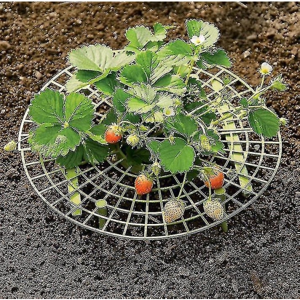 5 Pack Strawberry Support, Adjustable Strawberry Growing Racks Plant Climbing Rack