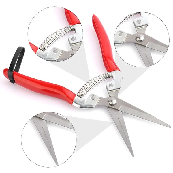 Stainless Steel Pruning Shears, Straight Precision Snips with Spring-Loaded Ergonomic Grip for Herbs, Flowers, Bonsai, Red
