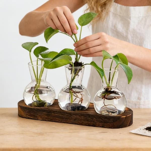 Glasformeringsvase 3 stk, Hydroponisk rodplanter til hjemmekontorindretning
