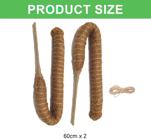 st - 60cm Plant Support Foldable Support Climbing Stick Monstera Sticks for Growing and Other Plants to Support and Guide Growth brown_yu