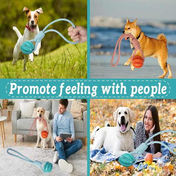 Interactive Puppy Toy with Rubber Ball for Small/Medium Dogs - Durable Chew Rope for Teeth Cleaning, Fetch, and Training (Blue) blue