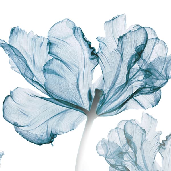 Blå drøm blomster veggdekaler avtagbare DIY blå blomst barnehage
