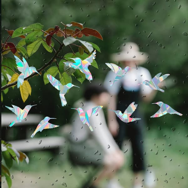 Circular Window Decals - Anti-Collision Decals to Save Birds from Collisions