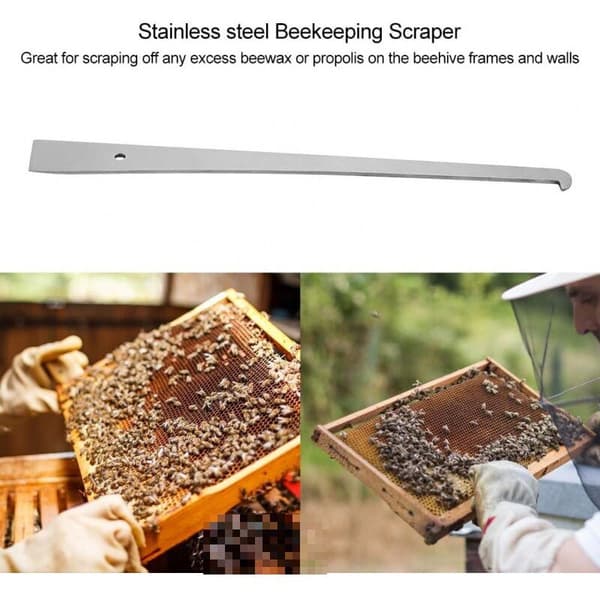 Beehive Scraper in Stainless Steel, Tool for Scraping Honeycomb Frames, Beekeeping Equipment, Beekeeper Supplies