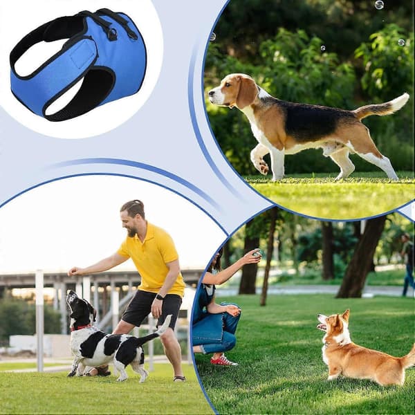 Dog Harness for Front Legs, Adjustable Front Leg Harness, Mobility Aid for Front Legs, Vehicle Entry and Exit for Dogs