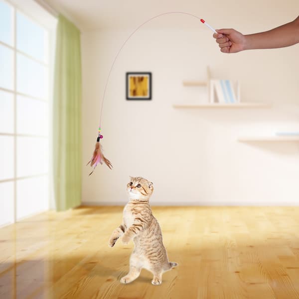Interactive Feather Cat Toy with Wire Chaser Wand and Beads