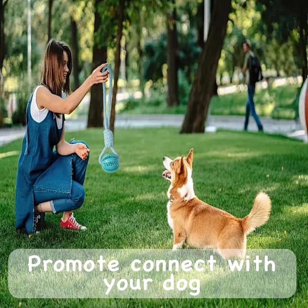 Interactive Puppy Toy with Rubber Ball for Small/Medium Dogs - Durable Chew Rope for Teeth Cleaning, Fetch, and Training (Blue) blue