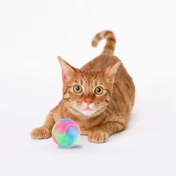 En trefarget blits elastisk ball og hundeball 7,0 cm frostet modell G