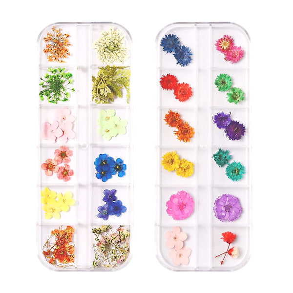2 æsker Negletørrede blomster, neglekunst Dekor Manicuredekor Blandet tørret blomst style2